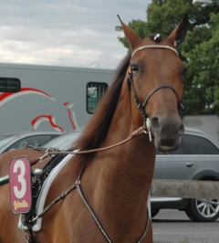 Random Shot 130808-9